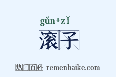 滚子是什么意思的图片
